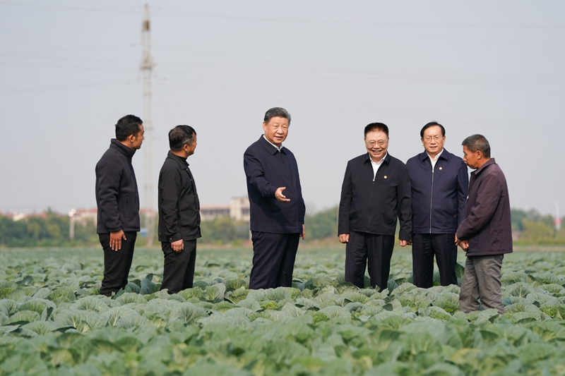 11月4日至6日,中共中央總書記、國家主席、中央軍委主席習(xí)近平在湖北考察。這是5日上午,習(xí)近平在咸寧市嘉魚縣潘家灣鎮(zhèn)十里蔬菜長廊考察時,走進(jìn)田間,察看蔬菜長勢。