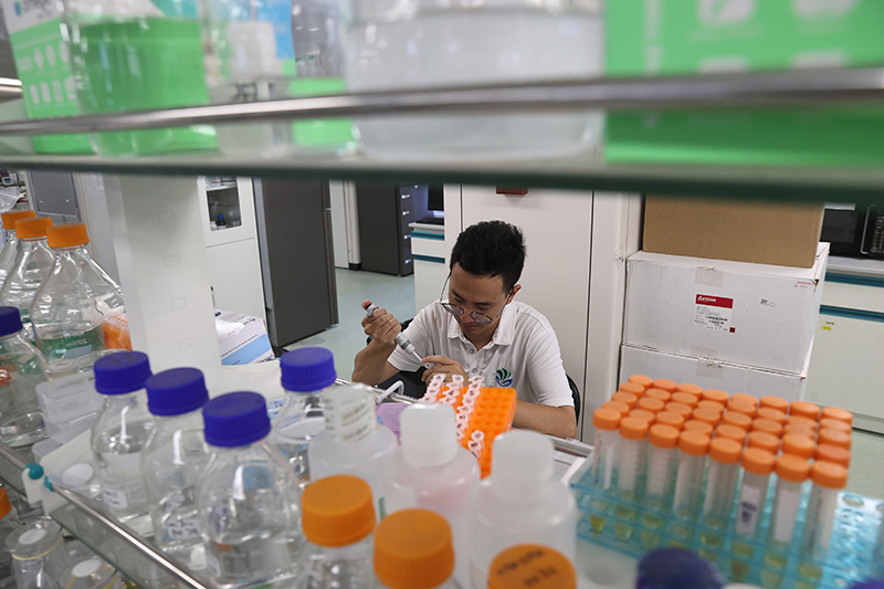 在三亞崖州灣科技城,一名青年科技工作者正在進行科研工作。